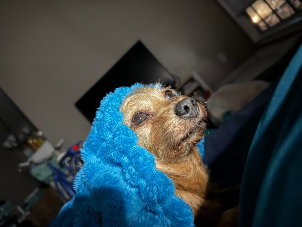 Creating Fluid Art img 3346